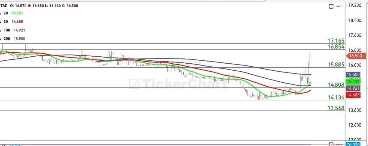 سهم برغرايززر اليوم